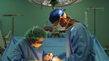 hallan a profesor universitario en estado de desnutricion severa