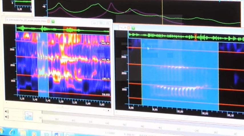 Imagen tomada de un video de EFE que muestra un análisis de frecuencia de los sonidos asociados con los ataques acústicos que afectaron a un veintena de diplomáticos de EEUU en La Habana.