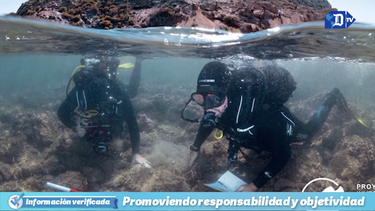 investigacion arqueologica en busca de los secretos de la isla del fraile