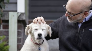 Esta foto del lunes 11 de noviembre del 2019 muestra a Daniel Promislow, investigador de la Facultad de Medicina de la Universidad de Washington y principal investigador del Proyecto de Envejecimiento de Perros, al lado de Frisbee en su casa de Seattle.&nbsp;