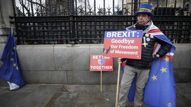 Steve Bray, activista contra el Brexit, frente al Parlamento en Londres. Los carteles dicen: Brexit, adi&oacute;s a nuestra libertad de movimientos y Mejor juntos.