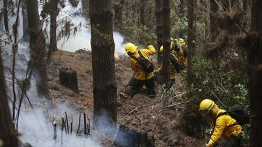 Los bomberos combaten un incendio en la región chilena del Biobio.