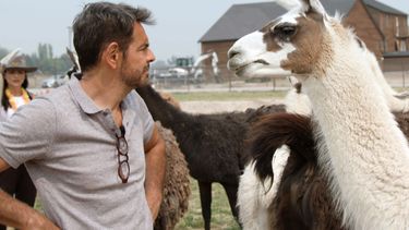 En esta imagen difundida por Amazon, Eugenio Derbez en una escena de la segunda temporada de De viaje con los Derbez.&nbsp;