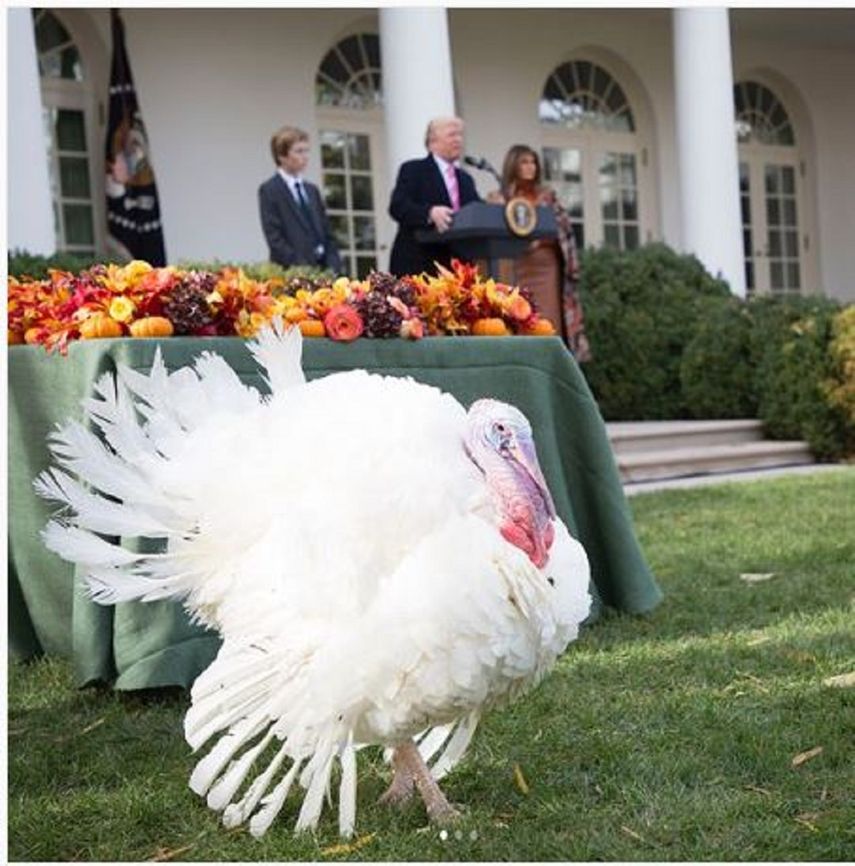 El presidente Trump, en compañía de su hijo menor y de la Primera Dama, en la tradicional ceremonia del perdon del pavo de Acción de Gracias