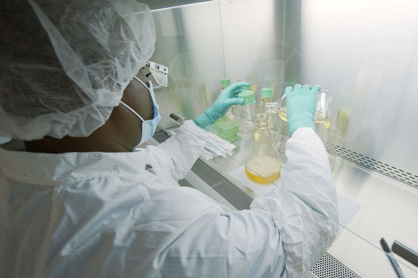 En esta foto de mayo de 2020 provista por la farmacéutica Eli Lilly, una investigadora ensaya posibles anticuerpos de COVID-19 en un laboratorio en Indianapolis.