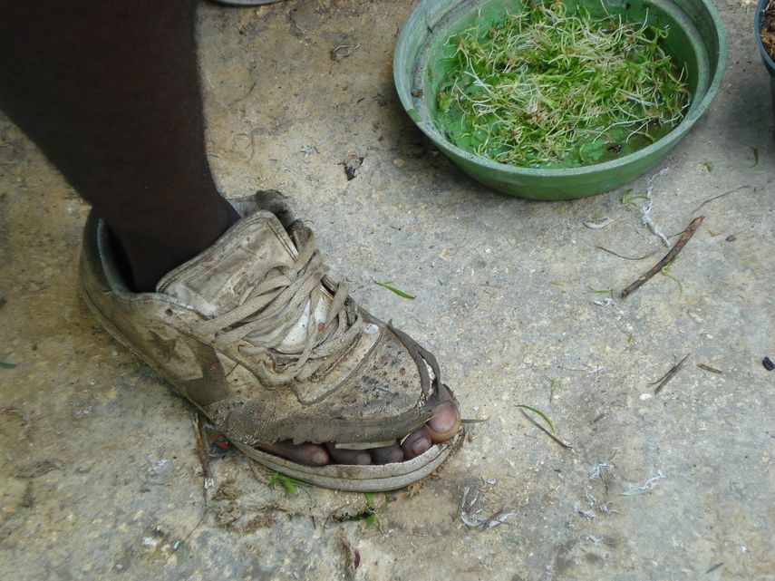 Balas, burocracia y falta de dinero: sombrío panorama del hambre en América&nbsp;