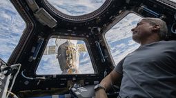 En esta imagen de archivo, distribuida por la NASA, el astronauta estadounidense e ingeniero de vuelo de la expedición 66, Mark Vande, mira a la Tierra desde una cúpula de la Estación Espacial Internacional, el 4 de febrero de 2022.&nbsp;