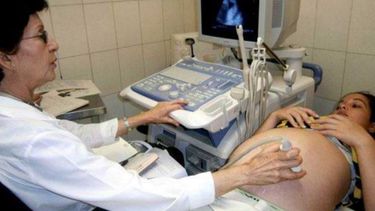 El virus del zika puede puede afectar a mujeres embarazadas y desencadenar casos de microcefalia en los bebés.