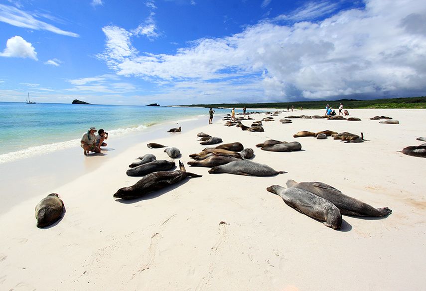 Estos animales parecen ser sacados de una de las películas de Jurassic Park. (dpa)