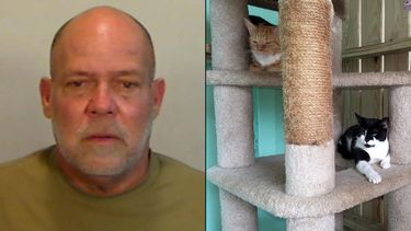 Patrick Francis Franey, de 60 años, enfrenta cargos por abuso animal.&nbsp;