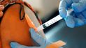 Una persona recibe una vacuna contra el coronavirus, mientras la variante delta causa estragos en algunos estados de EEUU. Una persona recibe una vacuna contra el coronavirus, mientras la variante delta causa estragos en algunos estados de EEUU.
