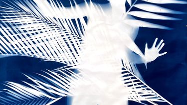 Touch Has a Memory, de Antonia Wright. El Oolite Arts presenta la muestra Natural Transcendence.