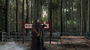 En esta imagen difundida por Universal Orlando, el personaje Hagrid de Harry Potter en una escena de la atracción Hogwarts Express que abrirá este verano en los parques de los estudios Universal en Orlando. (AP)