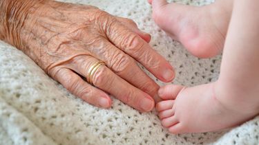 El Papa instaura día mundial de los abuelos olvidados