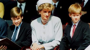 Lady Di, la princesa de las buenas obras
