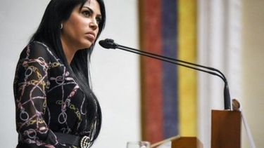 La diputada de la Asamblea Nacional (AN) de Venezuela, Delsa Solórzano.