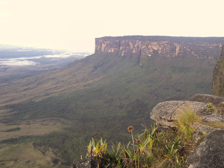 Roraima, Venezuela.&nbsp;