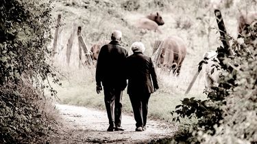 Imagen referencial.&nbsp;