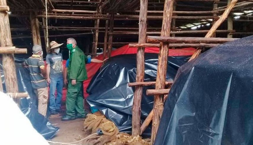 Las r&uacute;sticas instalaciones agr&iacute;colas en el occidente de Cuba sufrieron los embates del hurac&aacute;n Laura.