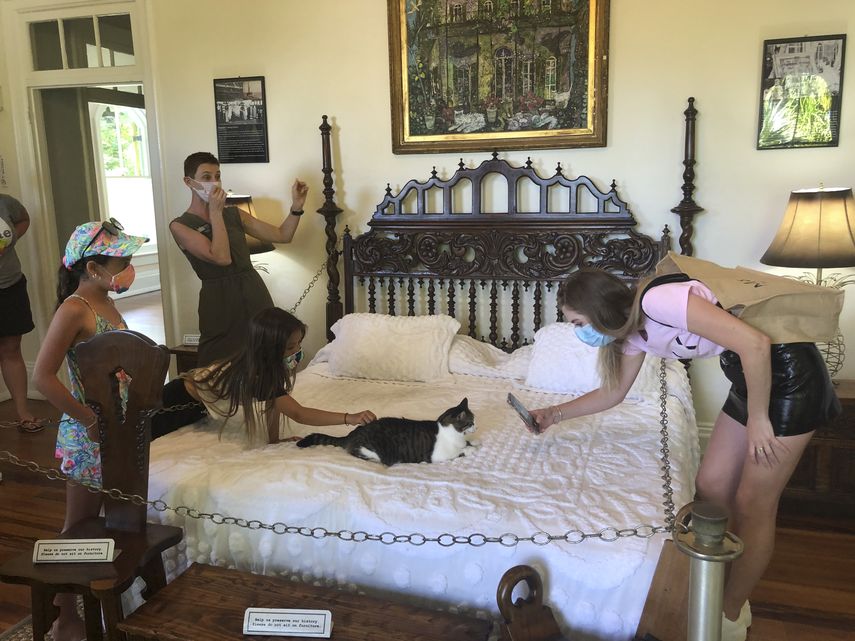 Una joven turista fotograf&iacute;a a unos de los gatos que habitan en la Casa de Hemingway en Key West.