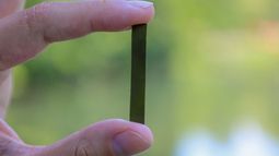 Una muestra del nuevo plástico biohíbrido totalmente reciclable del laboratorio Worch.