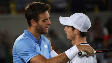 Del Potro y Murray ya se han enfrentado en Copa Davis