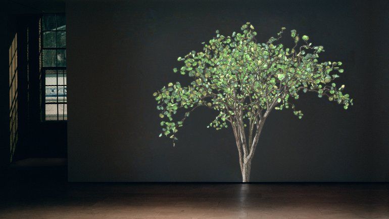 Dervish, de Jennifer Steinkamp. El Oolite Arts presenta la muestra Natural Transcendence.