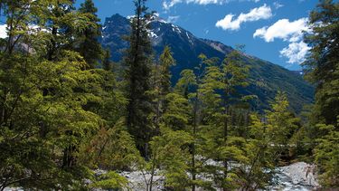 Bariloche, cordillera de Argentina. Imagen referencial.