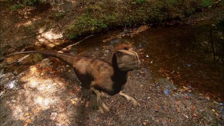 Huellas de dinosaurios, un aire fresco para el ecoturismo en México Huellas de dinosaurios, un aire fresco para el ecoturismo en México