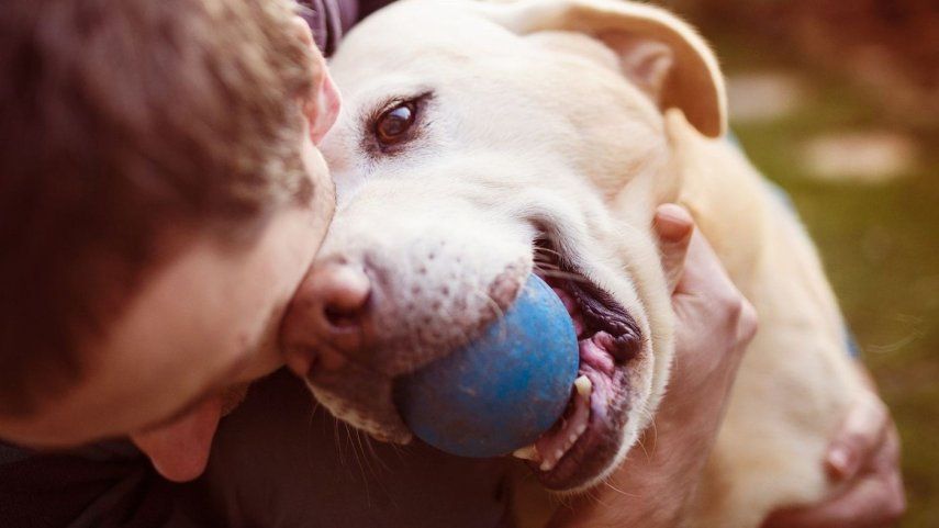 Una persona junto a un perro.&nbsp;