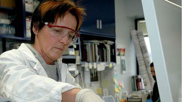 Investigadores de la Universidad Nacional Australiana lograron determinar la causa específica de lupus en una niña de diez años (Foto referencial Wikimedia)