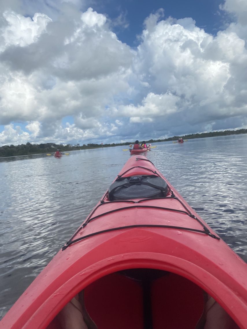 Tour de Kayak por el río Matanzas.&nbsp;