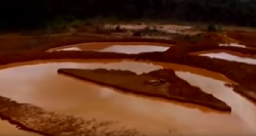 Las denuncias sobre el daño ecológico en el Arco Minero se han intensificado.