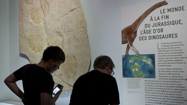 El Museo Nacional de Historia Natural de París organiza una exposición temporal en la que rescata fósiles de dinosaurios de hace 140 millones de años para mostrar a los visitantes los animales que poblaban lo que hoy es Francia.