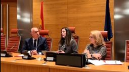 Captura de pantalla.&nbsp;