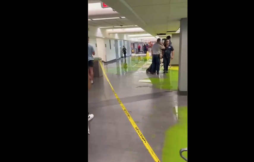 Screenshot de #ONLYinDADE de la red social X.