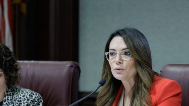 La senadora estatal Ileana García representa al Distrito 36.