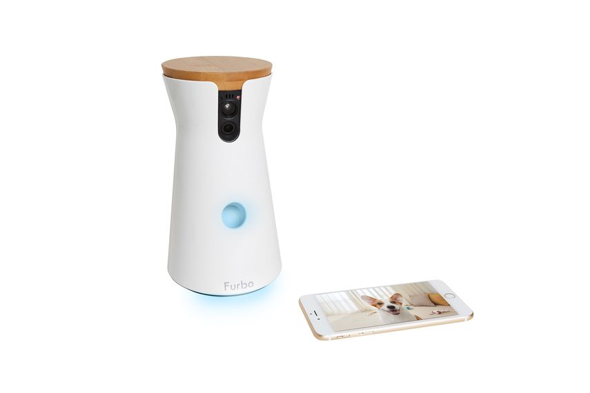 Furbo es una cámara que se conecta a la red doméstica y permite ver desde la distancia qué hace el perro.