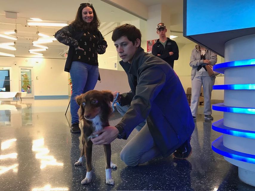 El Condado Miami-Dade pidió una mayor protección de las mascotas por estos días de intenso frío.