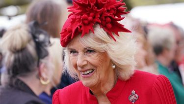 Camila de Gran Bretaña, reina consorte, se reúne con los invitados después de una ceremonia para presentar los nuevos estándares y colores a la Marina Real, los socorristas del Regimiento Montado de Caballería Doméstica, la Compañía del Rey de la Guardia de Granaderos y el Escuadrón de Color del Rey la Royal Air Force en el Palacio de Buckingham, en Londres, el 27 de abril de 2023.