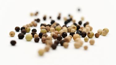 Una regla universal de cocina indica que la pimienta blanca va bien con comidas claras y la negra con las más oscuras
