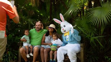 La Pascua del Conejo en el Fairchild Tropical Botanic Garden.