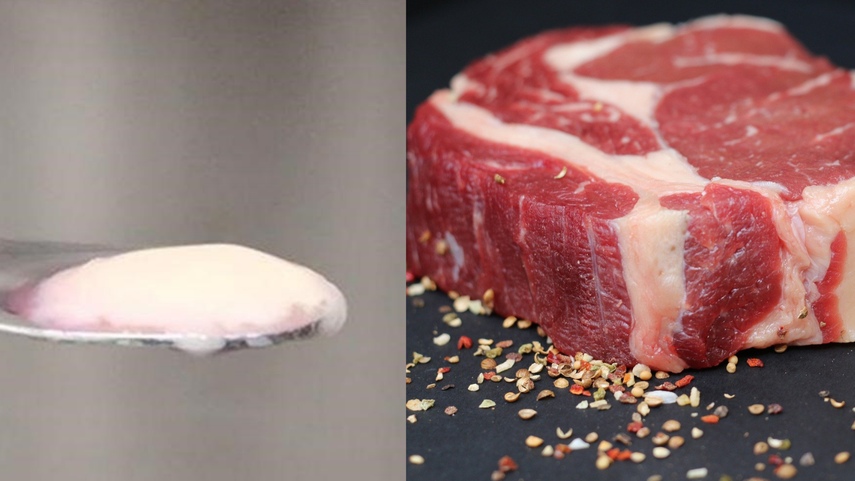 A la izquierda una muestra de carne cultivada por investigadores de la Universidad McMaster de Canadá, utilizando células de ratones, a la derecha un filete de carne de res.