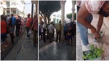Protesta en Las Tunas, Cuba, por una multa impuesta a un opositor por vender plantas medicinales.&nbsp;