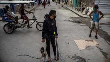 Con una máscara facial en medio de la pandemia del COVID-19, el buzo Yuniel González camina a casa con su pesca del día en La Habana, Cuba, el martes 27 de octubre de 2020.