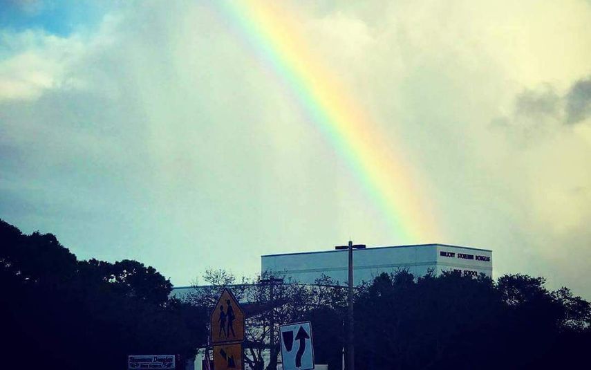 Los profesores y el personal de la escuela de Parkland fueron recibidos por un arcoíris.&nbsp;
