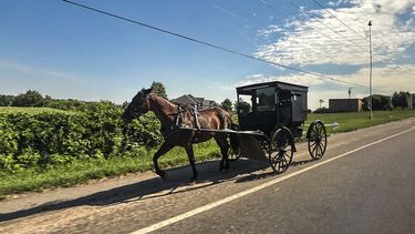 Amish, Elkhart, Indiana.