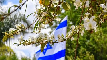 Bandera de Israel ondeando entre flores