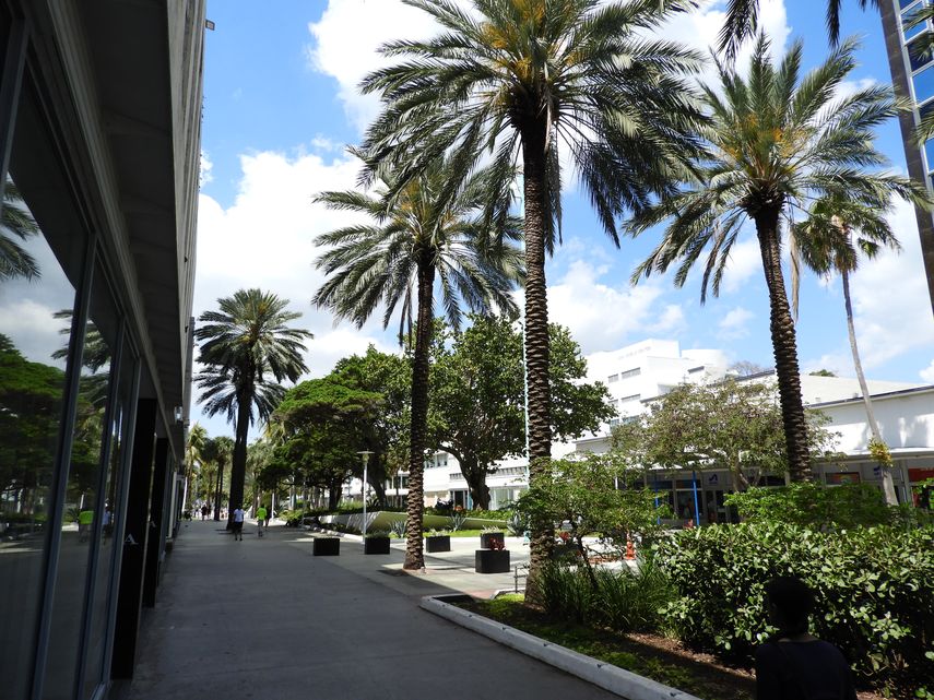 Lincoln road, Miami Beach.