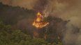 El fuego arde en una zona boscosa cerca del poblado de El Rosario, mientras un incendio forestal afecta Tenerife, en las Islas Canarias, el miércoles 16 de agosto de 2023.&nbsp;